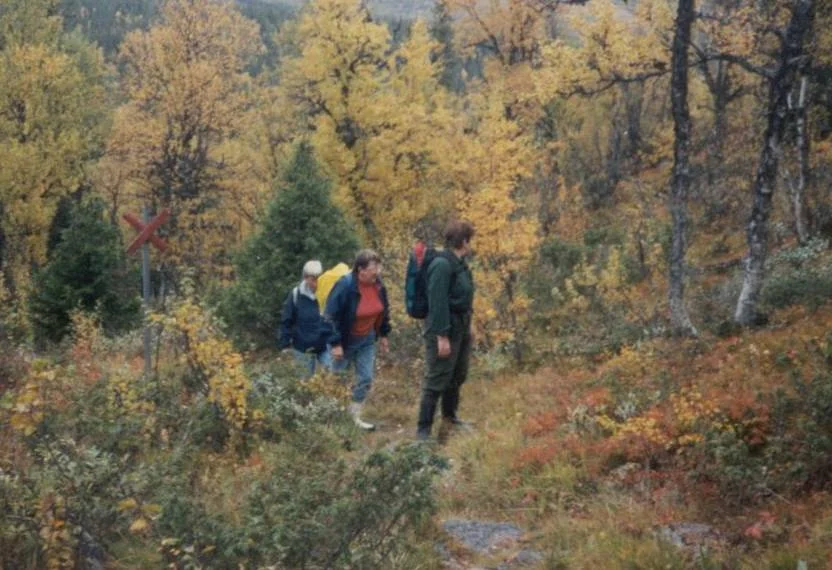 Vandring i Funäsdalen